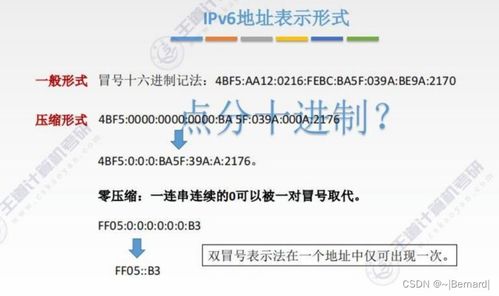 王道考研计算机网络第四章知识点汇总 网络层核心技术解析